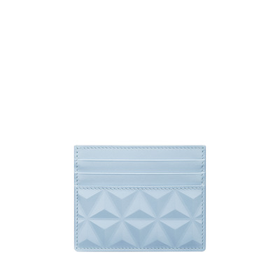 apex Card Holder light blue